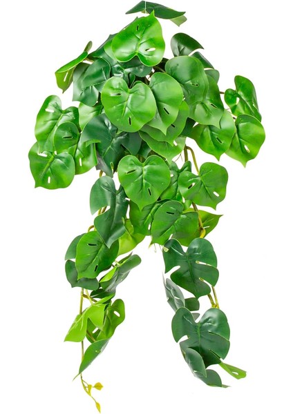 Yapay Sarmaşık Deve Tabanı/philo 75 Cm.