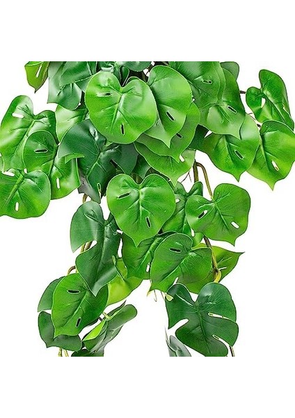 Yapay Sarmaşık Deve Tabanı/philo 75 Cm. fiyatları