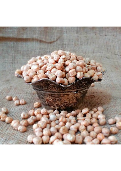 Taze Nohut Tohumu 50 Adet Tohum Yeşil Nohut Tohumu fiyatları