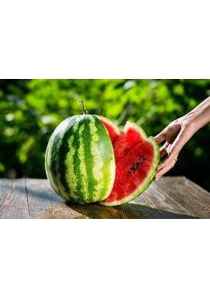 30 Adet Ithal Crimson Sweet Karpuz Tohumu fiyatları