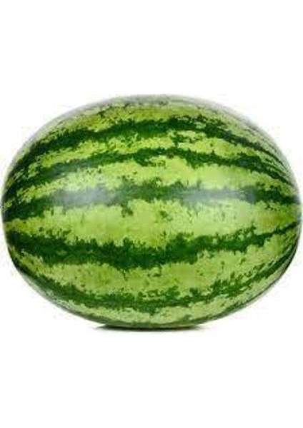 30 Adet Ithal Crimson Sweet Karpuz Tohumu modelleri