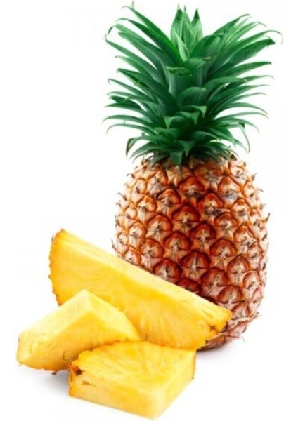 Tropikal Ananas Meyvesi Tohumu 5 Adet