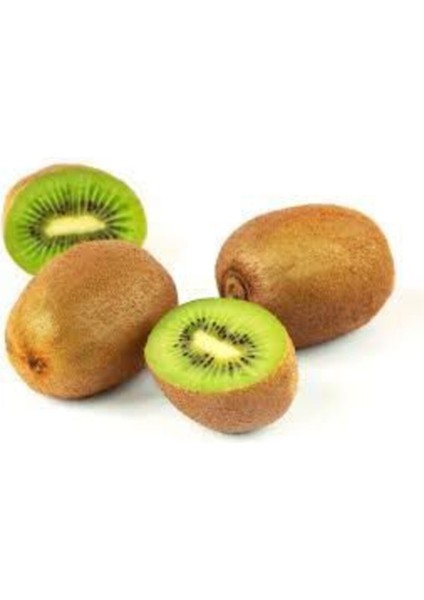 Kivi Ağacı Tohumu Yeşil Tatlı Kivi Tohumu 10 Adet Tohum