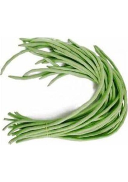 Eko Paket 15 Adet Tohum İthal Uzun Çin Fasulyesi Tohumu Fasülye Tohumu fiyatları