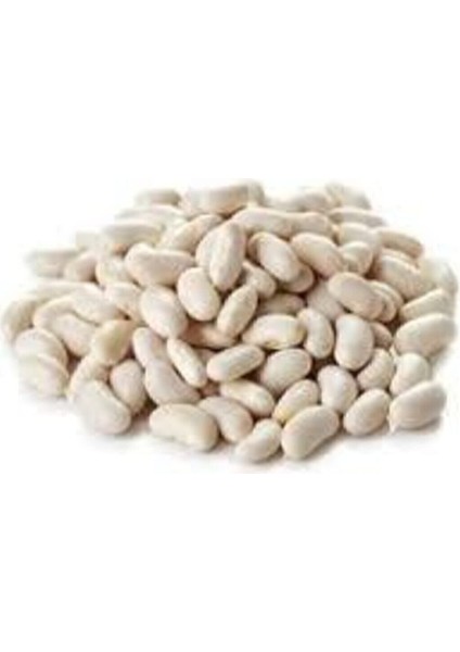 500 Adet Tohum Beyaz Fasulye Tohumu fiyatları