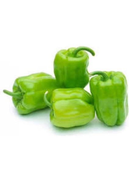 100 Adet Tohum Süper Paket Beyaz Tatlı Dolmalık Biber Dolma Biber Tohumu Sürpriz Hediye Tohum