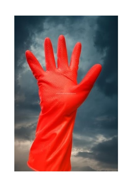 Proalet Tyson Bulaşık Eldiveni, Pamuksu Iç Yüzey, Kaymaz Dış Yüzey, Su Geçirmez, Esnek, Koruyucu, Çift Eldiven, Çok Kullanımlık, Temizlik Eldiveni fiyatları