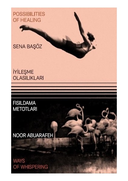 Iyileşme Olasılıkları - Fısıldama Metotları