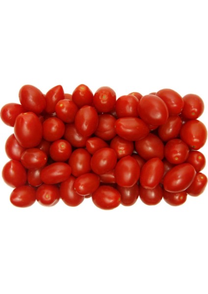 Çeri Domates Tohumu Minik Domates Tohumu 10 Tohum + Saksı + Toprak fiyatları