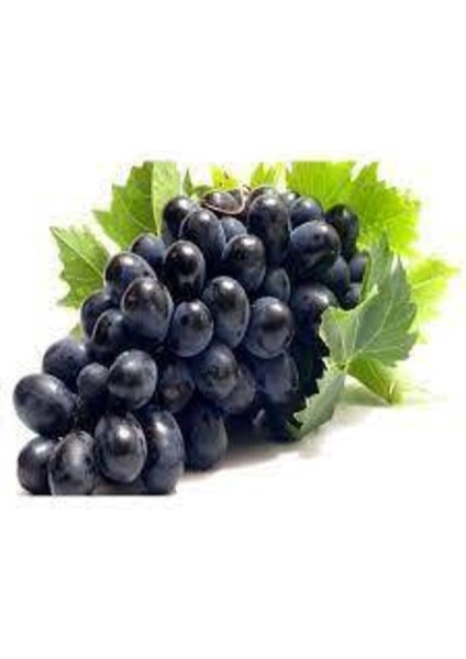 20 Adet Tohum Siyah Üzüm Black Magic Asma Ağacı Tohumu Sürpriz Hediye Bonsai Ağacı Tohumu fiyatları