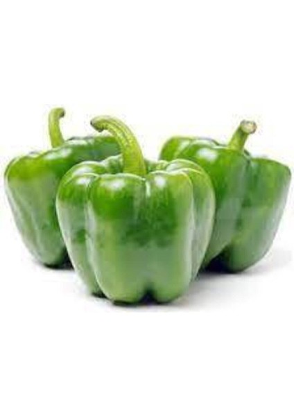 100 Adet Tohum Eko Paket Dolmalık Meşhur Antep Biberi Tohumu