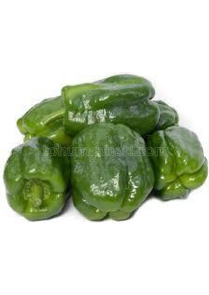 100 Adet Tohum Eko Paket Dolmalık Meşhur Antep Biberi Tohumu fırsatları