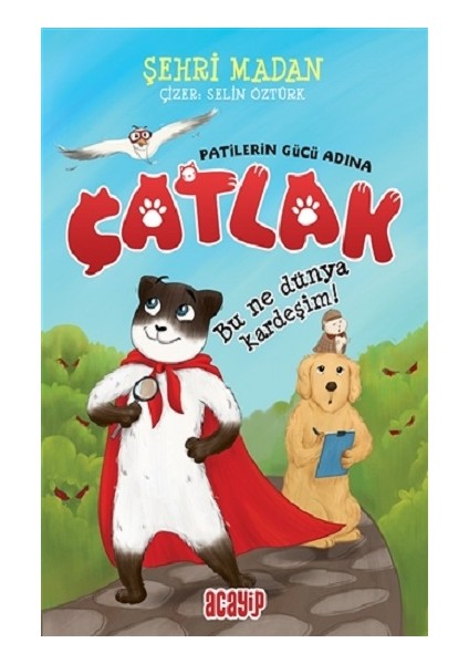 Bu Ne Dünya Kardeşim! - Çatlak