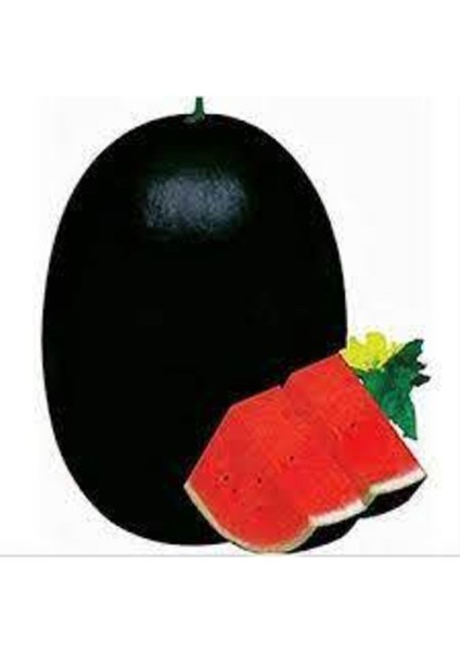 15 Adet Tohum Meşhur Halep Karpuzu Tohumu Halep Karası Karpuz fiyatları