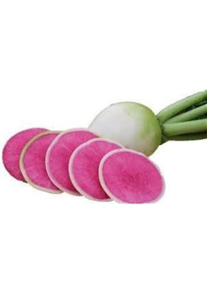 Turp Tohumu 50 Adet Tohum Içi Kırmızı Çin Turpu Tohumu