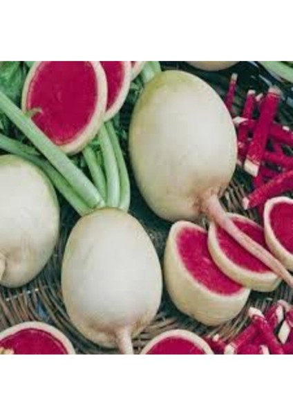 Turp Tohumu 50 Adet Tohum Içi Kırmızı Çin Turpu Tohumu modelleri