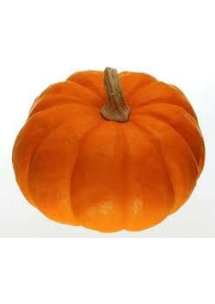 10 Adet Tohum İri Bal Kabağı Tohumu Süpriz Hediye Sebze Tohumu Yeni Mahsül fiyatları