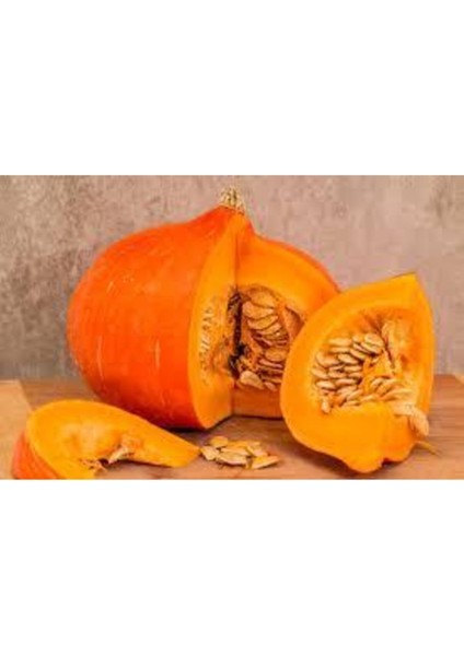 10 Adet Tohum İri Bal Kabağı Tohumu Süpriz Hediye Sebze Tohumu Yeni Mahsül modelleri