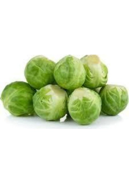 10 Adet Tohum Yerli Bürüksel Lahana Tohumu Süpriz Hediye Tohum Brüksel Lahanası Lahana fiyatları