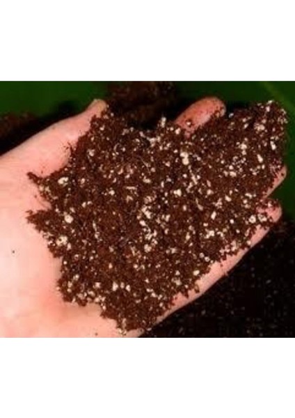 Bonsai Ağacı Tohumu Özel Karışım 5 Litre