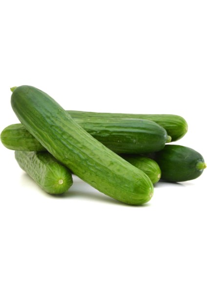 Çengelköy Salatalık Tohumu Çengelköy Hıyar Tohumu 15 Adet Tohum