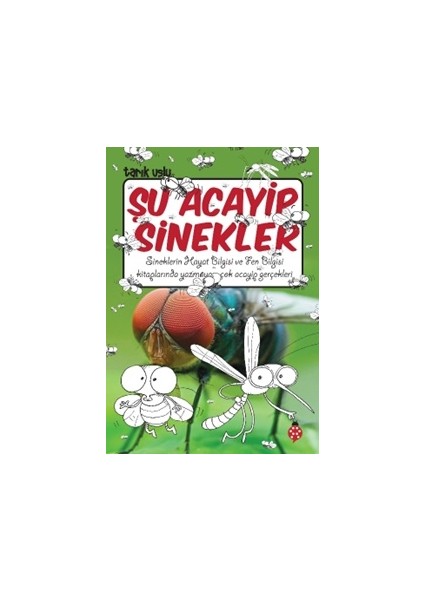 Şu Acayip Sinekler
