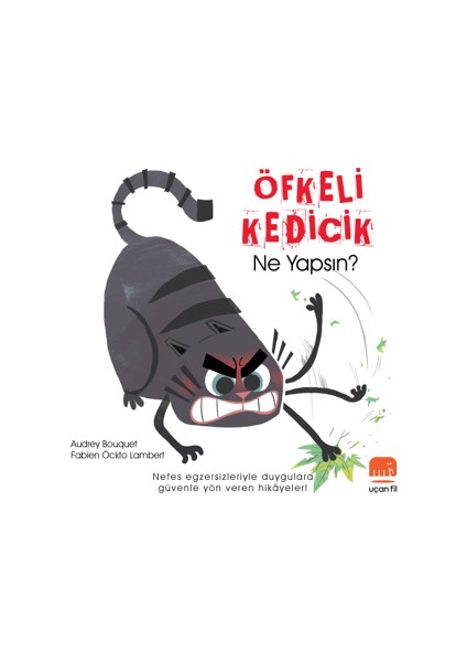 Öfkeli Kedicik Ne Yapsın?