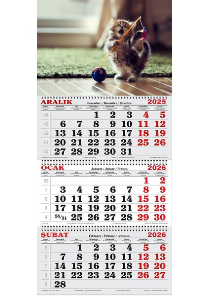 2026 Yılı Gemici Takvimi- Yavru Kedi ve Oyuncağı