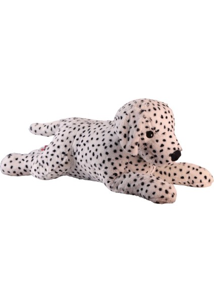 1140 90 cm Dalmaçyalı Köpek