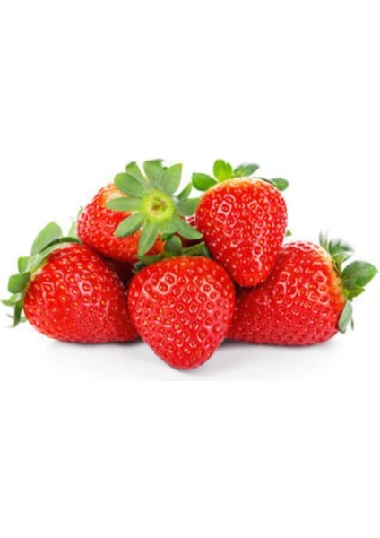 Mevsim Yediveren Çilek Tohumu Ekim Seti Saksı Toprak 10 Adet Tohum Kombin modelleri