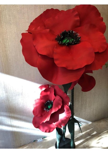 100 Adet Tohum Nadir Kırmızı Gelincik Eşek Gülü Çiçek Tohumu Köy Kır Çiçek Saksı Toprak Hediye