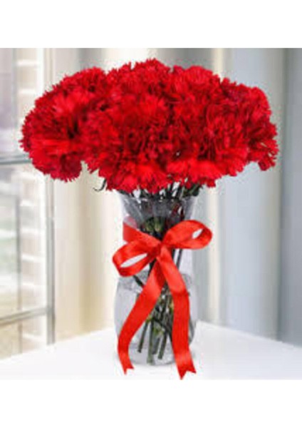 100 Adet Tohum Kırmızı Bodur Karanfil Çiçeği Tohumu Karanfil Tohumu fiyatları