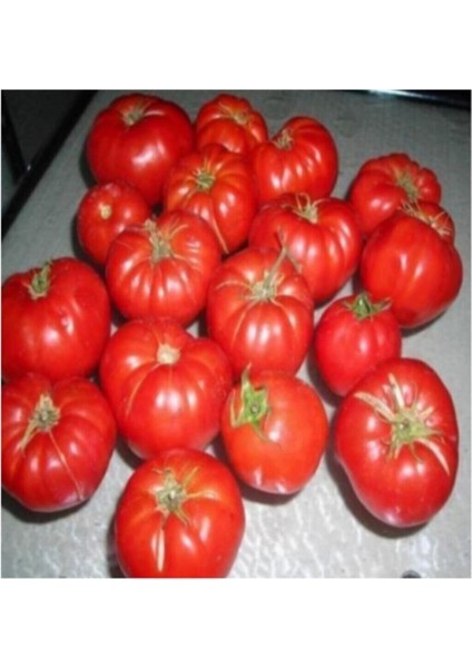 75 Adet Tohum Nadir Taze Tohum Ankara Ayaş Tarla Yerli Domates Tohumu Saksı Toprak Hedeyeli