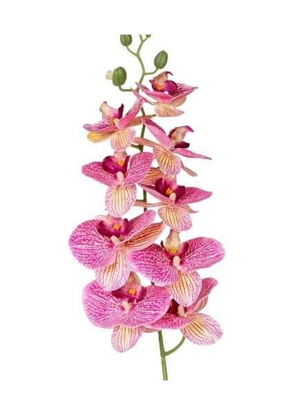 Yapay Orkide Gerçek Dokunuş Fuşya 95 Cm. fiyatları