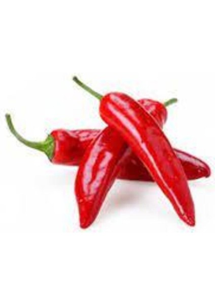 Tohum Meksika Biberi Tohumu 25 Adet fiyatları