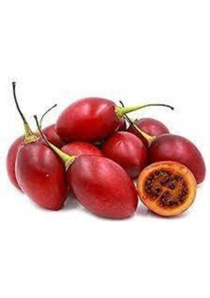 10 Adet Tohum Italyan Domates Ağacı Tohumu Nadir Domates Tohumu Saksı Toprak Sürpriz Hediye