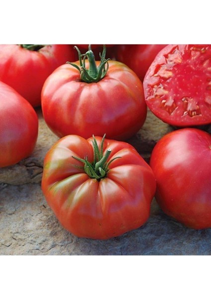 50 Adet Tohum Organik Köy Tarla Domates Tohumu Yeni Mahsul Tarla Tipi Köy Domatesi Tohum Saksılık