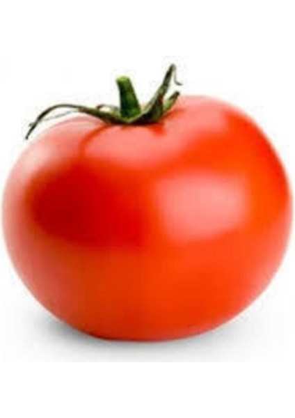 Falkon Domates Tohumu 50 Adet