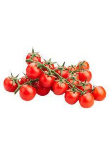 Çeri Domatesi Tohumu 20 Adet fiyatları