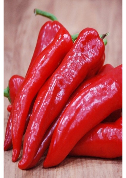 150 Adet Tohum Organik Acı Samandağ Biberi Tohumu Sürpriz Hediye Sebze Tohumludur