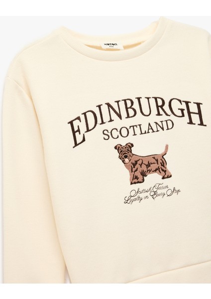 Nakış Detaylı Uzun Kollu Bisiklet Yaka Oversize Sweatshirt modelleri