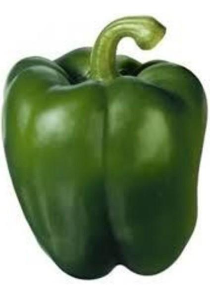 100 Adet Tohum Eko Paket Dolmalık Meşhur Antep Biberi Tohumu Sürpriz Hediye Tohum