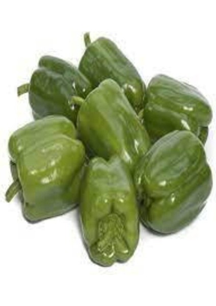 100 Adet Tohum Eko Paket Dolmalık Meşhur Antep Biberi Tohumu Sürpriz Hediye Tohum fiyatları