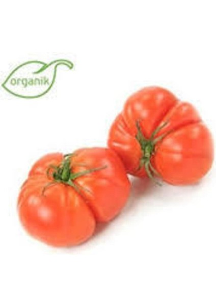 40 Adet Tohum Köy Domatesi Tohumu Yerli Tabak Köy Domates Tohumu Saksı Toprakla fiyatları