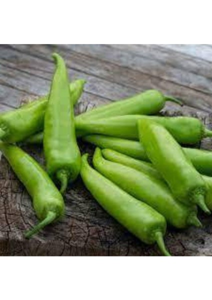 100 Adet Tohum Geleneksel Tatlı Çarliston Biber Tohumu Sürpriz Hediye Sebze Tohumu