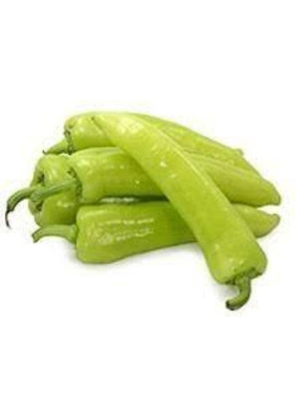 100 Adet Tohum Geleneksel Tatlı Çarliston Biber Tohumu Sürpriz Hediye Sebze Tohumu fiyatları