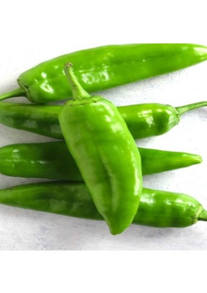 100 Adet Tohum Hobi Bahçe Yağlık Pat Biber Tohumu Saksı Topraklı