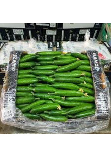 50 Adet Tohum Silor Yerli Parmak Salatalık Tohumu Sülor Salatalık Sürpriz Tohum fiyatları