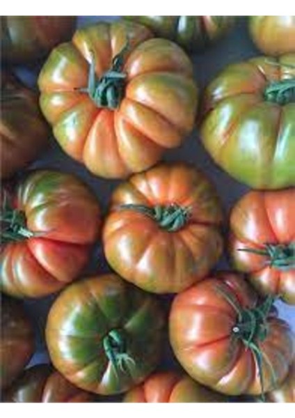 100 Adet Tohum Nadir Varlon Alacalı Köy İri Domates Tohumu Saksı Toprak Hediyeli