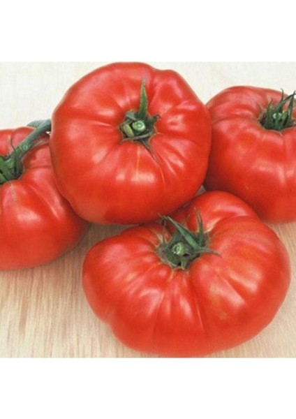 Eko Paket Nadir İthal Dev Hollanda Domates Tohumu Dev Domates 45 Adet Tohum modelleri